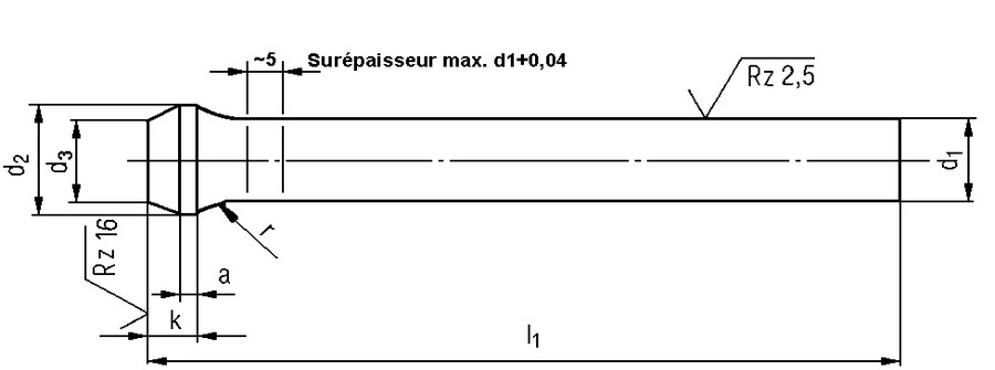 Poinçon D-HSS